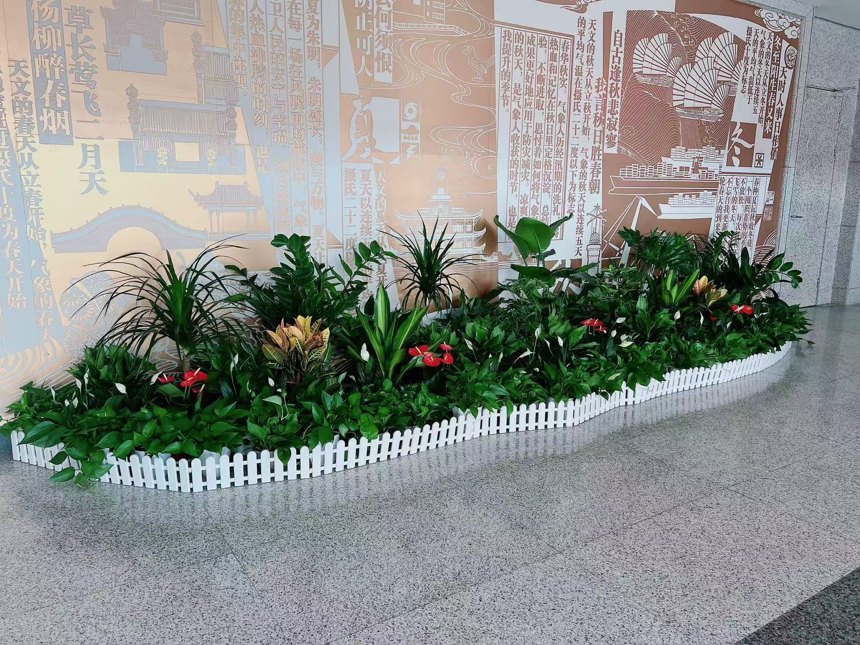 了解宁波盆景租赁方案，让空间绿意盎然